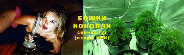 скорость Медвежьегорск