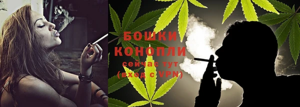 дмт Мегион
