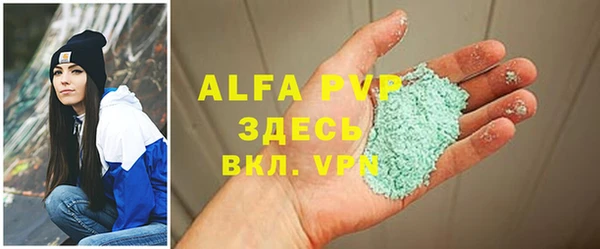 сатива Бердск