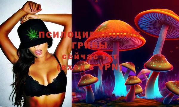 дмт Мегион