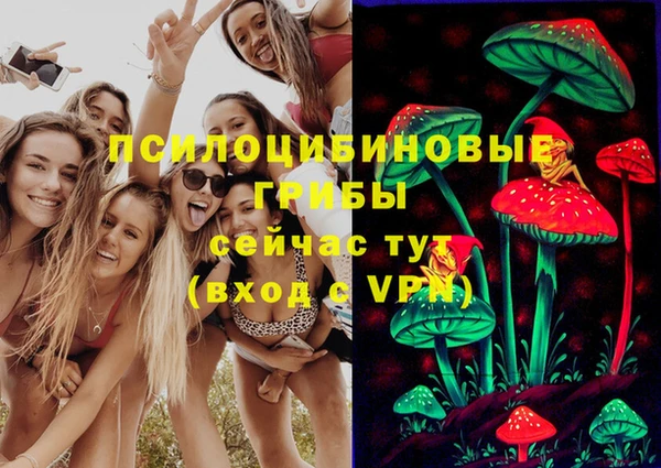 скорость Медвежьегорск