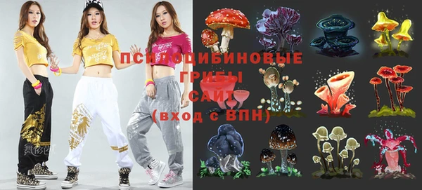 скорость Медвежьегорск