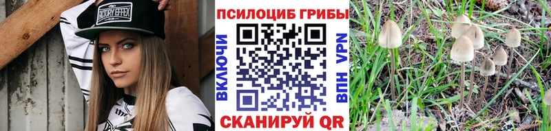 закладка  Новороссийск  Галлюциногенные грибы Magic Shrooms 